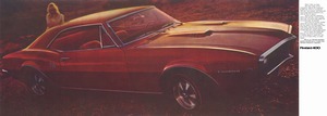 1967 Pontiac Firebird-05-06-07-08.jpg